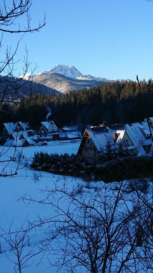Hostel & Apartments U Florka 2 Zakopane Esterno foto